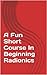 A Fun Short Course In Begin...