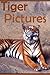Tiger Pictures