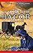 A Lancaster Amish Home for Jacob Megabook by Rachel Stoltzfus