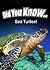 Did You Know.. Sea Turtles!