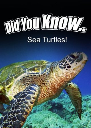 Did You Know.. Sea Turtles! (Kindle Edition)