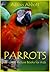 Parrots: An Amazing Animal Picture Book for Kids