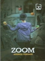 Zoom (Paperback)