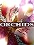 Orchids: Beautiful Pictures of orchids