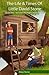 The Life and Times of Little David Stone - Book Two - Second through Fourth Grade