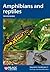Amphibians and Reptiles (Naturalists' Handbooks) (Vol)