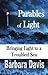 Parables of Light
