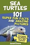 Sea Turtles : 101...