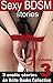 Sexy BDSM Stories - Volume Three