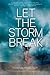 Let the Storm Break (Let the Sky Fall, #2)