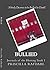 Bullied (Journals of the Hurting Book 1)