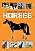 The Ultimate Guide to Horses