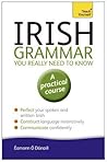 Teach Yourself Irish Grammar You Really Need to Know: A Practical Course