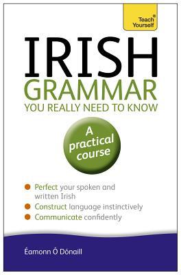Teach Yourself Irish Grammar You Really Need to Know: A Practical Course