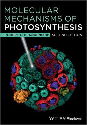 Molecular Mechanisms Photosynthesis 2e (Paperback)