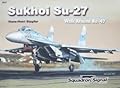 Sukhoi Su-27 Flanker - Walk Around No. 47