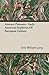 Literary Pioneers: Early American Explorers of European Culture