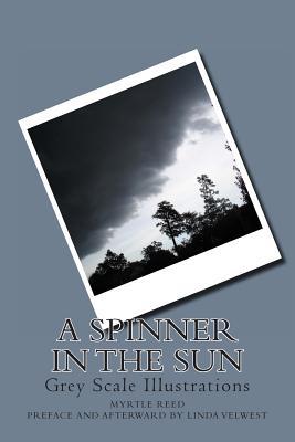 A Spinner in the Sun: Grey Scale Illustrations