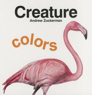 Creature Colors (Board Book)