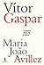 Vítor Gaspar (Portuguese Edition)