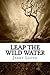 Leap the Wild Water: Book One of the Megan Jones trilogy
