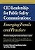 CIO Leadership for Public S...