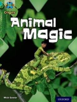 Animal Magic (Project X Origins: Turquoise Book Band, Oxford Level 7: Hide and Seek)
