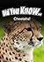 Cheetahs (Did You Know)
