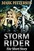 Storm Rider by Mark Petterson