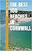 The Best 100 Beaches in Cornwall by Alan Tongue