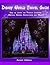 Disney World Travel Guide How to create the perfect itinerary by Nrbooks