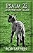 Psalm 23, Help for Lost Lambs by Bob Saffrin