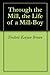 Through the Mill, the Life of a Mill-Boy
