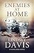 Enemies at Home (Flavia Albia Mystery, #2)