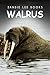 Walrus - Sandie Lee Books (children's animal books age 4-6, wildlife photography, animal books nonfiction)