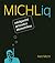 MICHLiq - Inteligentní průvodce ekonomikou