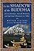 In the Shadow of the Buddha by Matteo Pistono