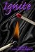 Ignite: Tasteful erotic fiction for women, written specifically with moms in mind. (Light Your Fire Series Book 1)