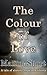The Colour of Love: A tale of slavery, hope and liberty