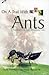 On A Trail With Ants: A Handbook of the Ants of Peninsular India