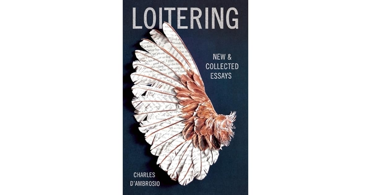 Loitering essay 06 picture