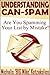 Understanding CAN-SPAM