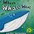 Where Whale Went