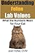 Understanding Feline Lab Values: What the Numbers Mean for Your Cat