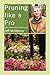 Pruning Like a Pro: Brown T...