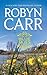 Blue Skies by Robyn Carr