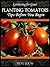 Planting Tomatoes: Tips Bef...