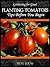 Planting Tomatoes by Steve Lucas
