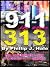 9-1-1 in the 313: The View ...