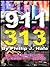 9-1-1 in the 313: The View from the Cube of a Detroit 9-1-1 Operator